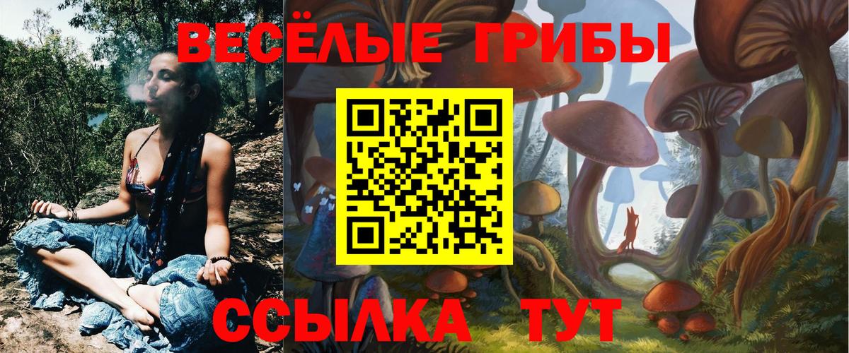 Галлюциногенные грибы Magic Shrooms  Псилоцибиновые грибы MAGIC MUSHROOMS  купить   Кизляр  Вход с VPN 