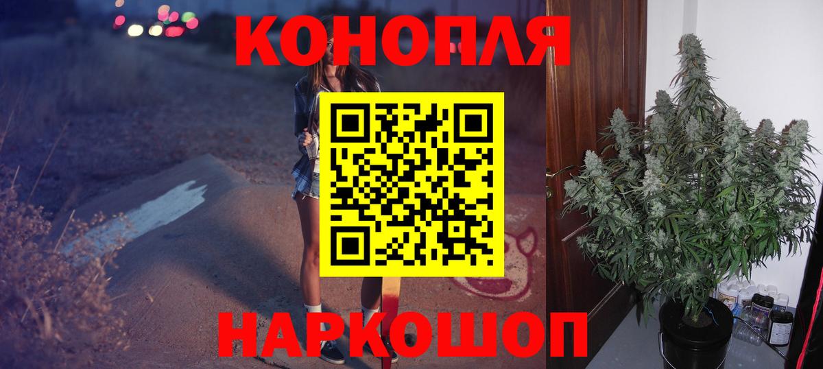 Каннабис OG Kush  Шишки марихуана тримм  Каннабис OG Kush  Кизляр  Каннабис White Widow  Вход с VPN 